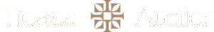 ticasa-logo-navbar